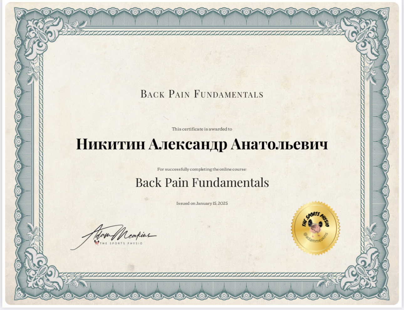 Back Pain Fundamentals